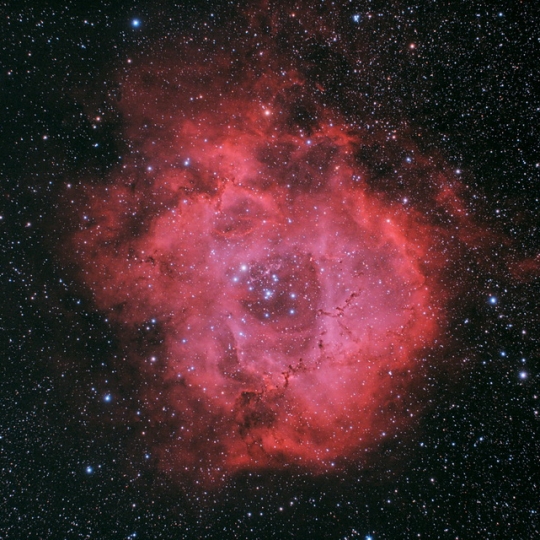 NGC2238 - Rosette Nebula