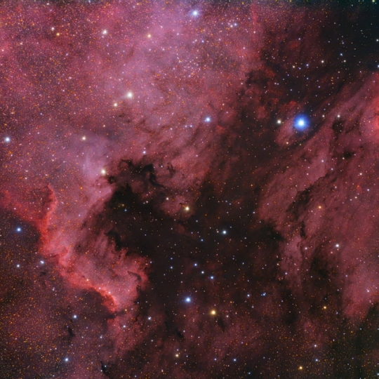 NGC7000, IC5070 - North American and Pelican Nebula