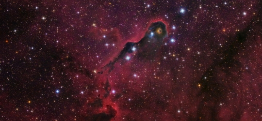 IC1396 - Elephant trunk nebula