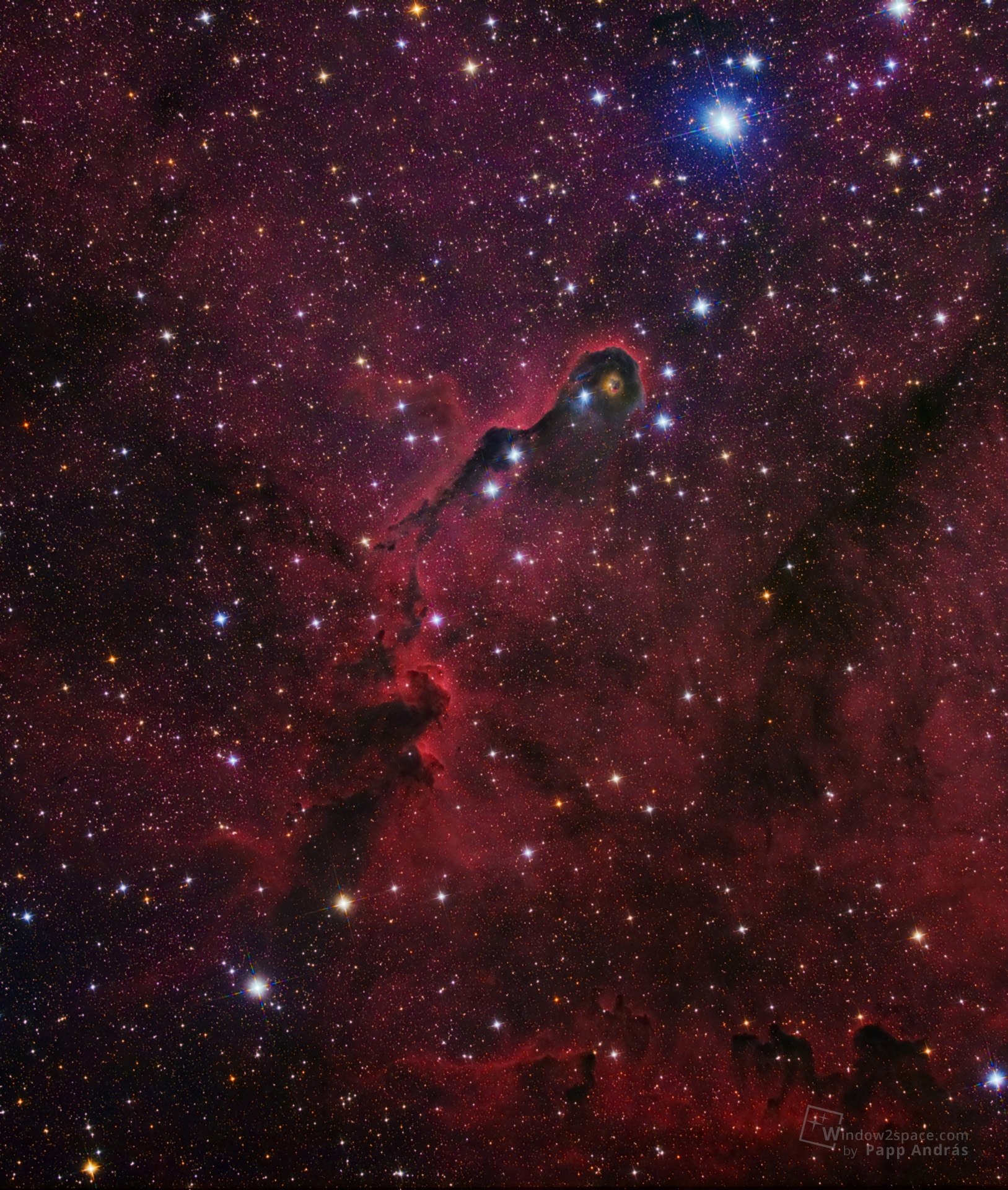 IC1396 - Elefántormány-köd