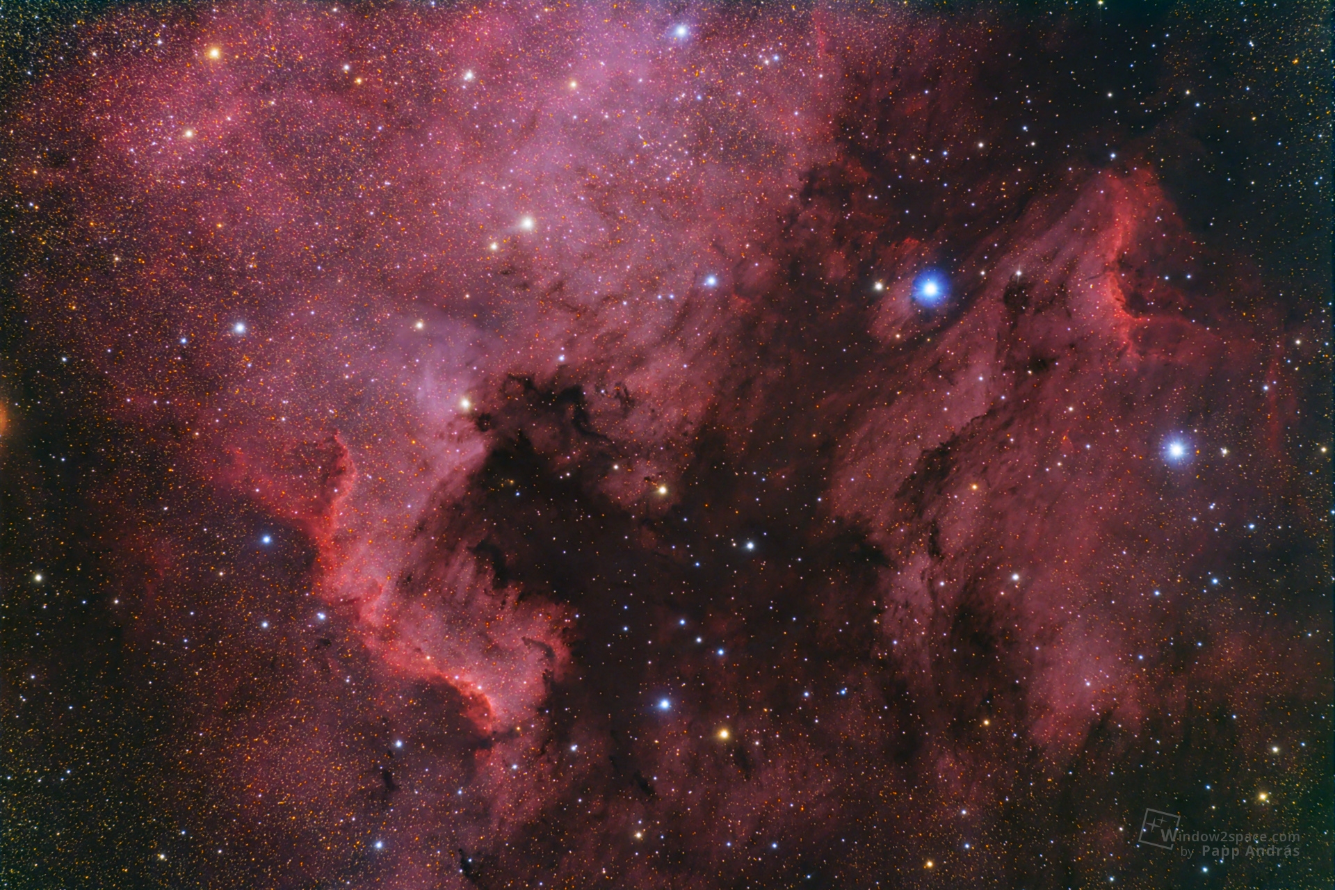 NGC7000 - Az Észak-Amerika-köd / IC5070 - Pelikán-köd