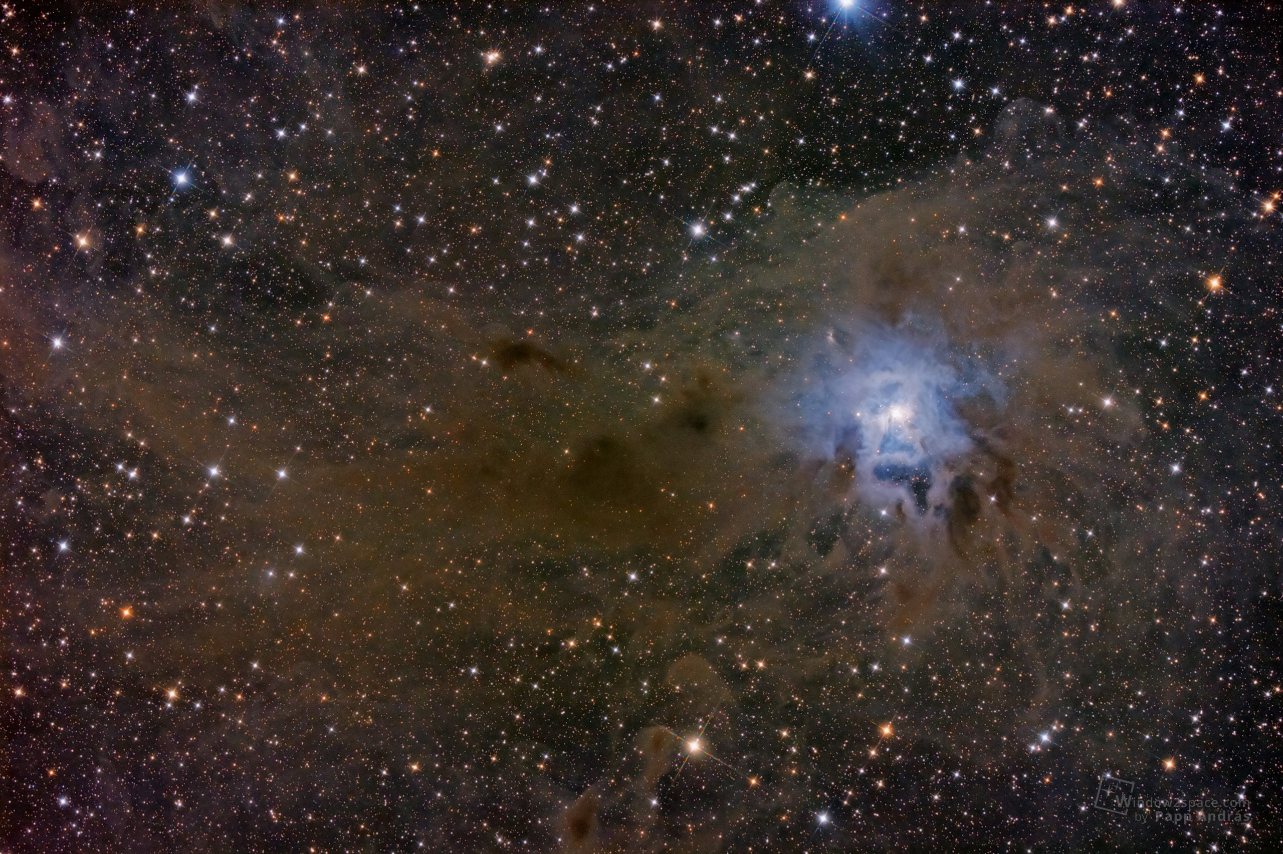 NGC7023 - Iris Nebula